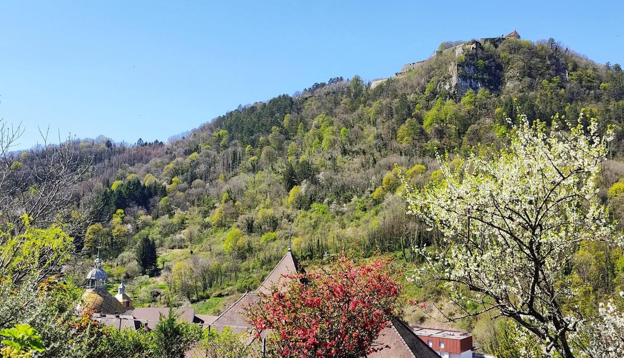 L'Aristoloche Apartment ซาลอนส์-เลส์-แบ็งส์ ภายนอก รูปภาพ